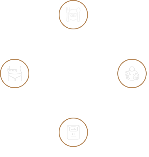 Ein Kreislauf-Diagramm, das den Teufelskreis des Jojo-Effekts beim Abnehmen illustriert: Auf Verzicht folgt Heißhunger, dann Misserfolg und schließlich Frust