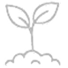 Icon einer wachsenden Pflanze als Symbol für Anfänger, die mit sicherem 1:1 Coaching von Anfang an richtig trainieren.